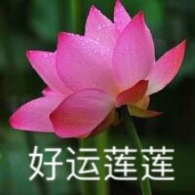 烈焰遮天小米正版下载